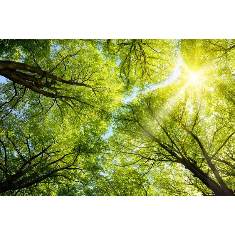 SAMAS keret nélküli LED panel 36W 4320lm 120° 60x60cm BackLit káprázásmentes - HUGO LED