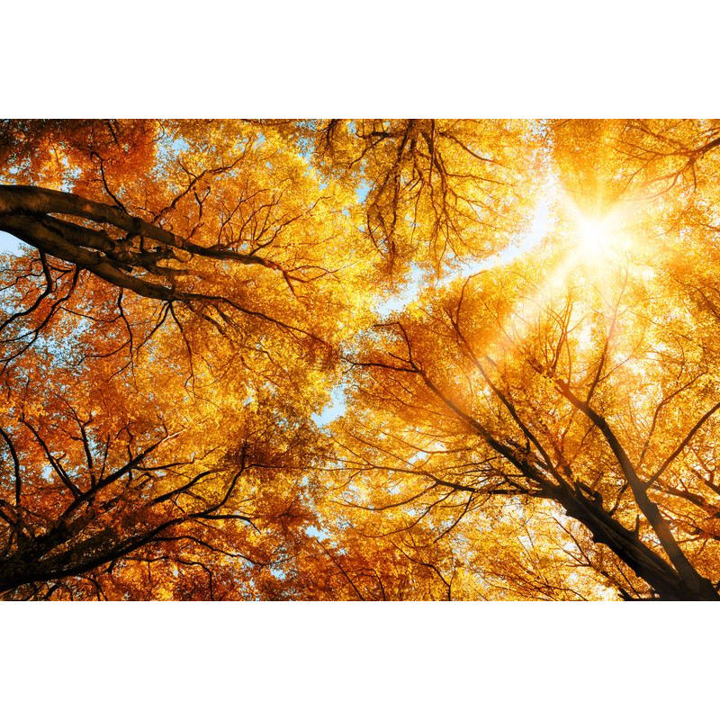 SAMAS keret nélküli LED panel 36W 4320lm 120° 60x60cm BackLit káprázásmentes - HUGO LED