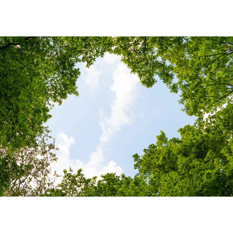 SAMAS keret nélküli LED panel 36W 4320lm 120° 60x60cm BackLit káprázásmentes - HUGO LED