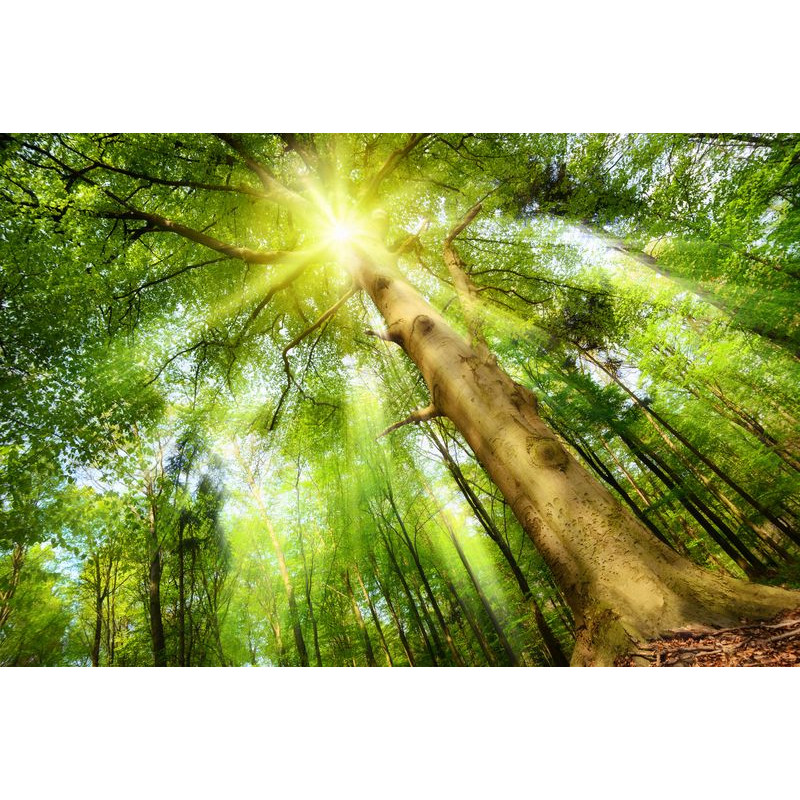 SAMAS keret nélküli LED panel 36W 4320lm 120° 60x60cm BackLit káprázásmentes - HUGO LED