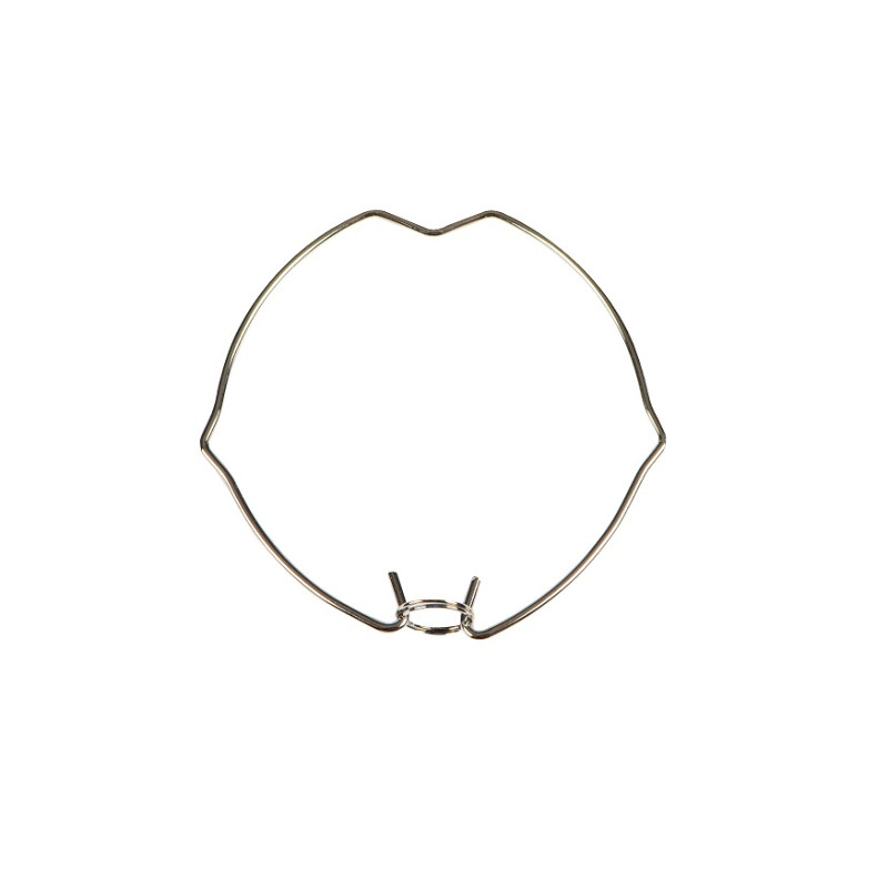 SPR.CTC-55/MR11 RÖGZÍTŐ ZÉGER gyűrű spot kerethez