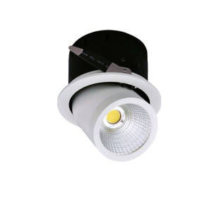 35W LED COB DOWNLIGHT, ROTATABLE, 2700K - CITIZEN CHIP