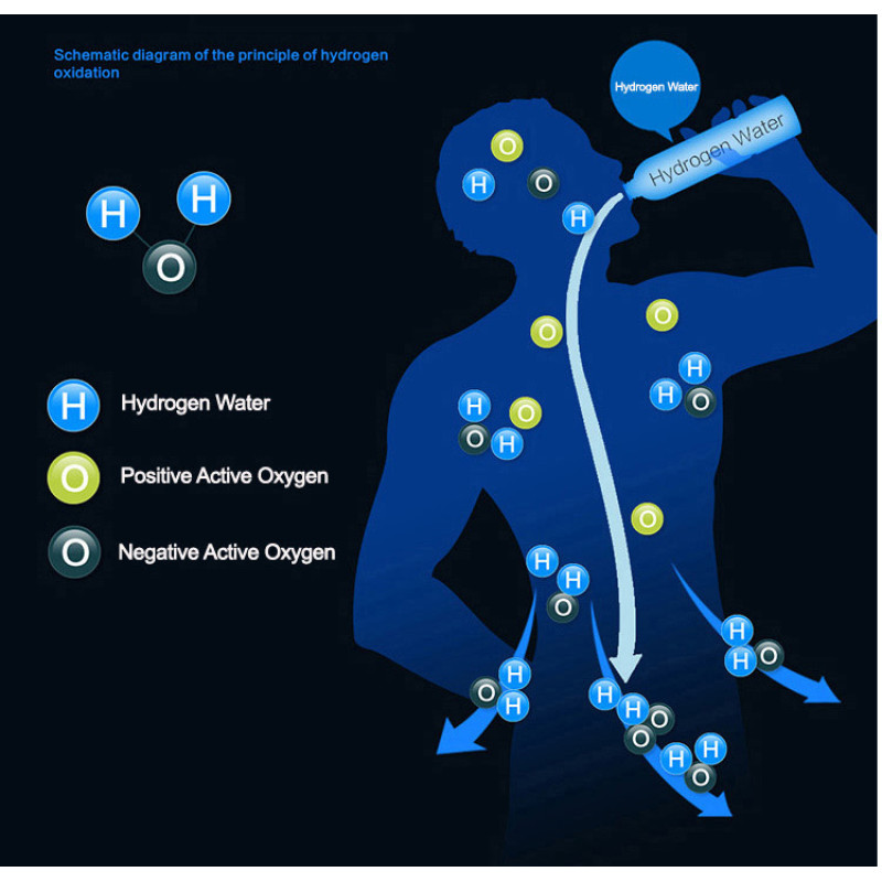 Hidrogén vizespalack Biogenis 500 ml